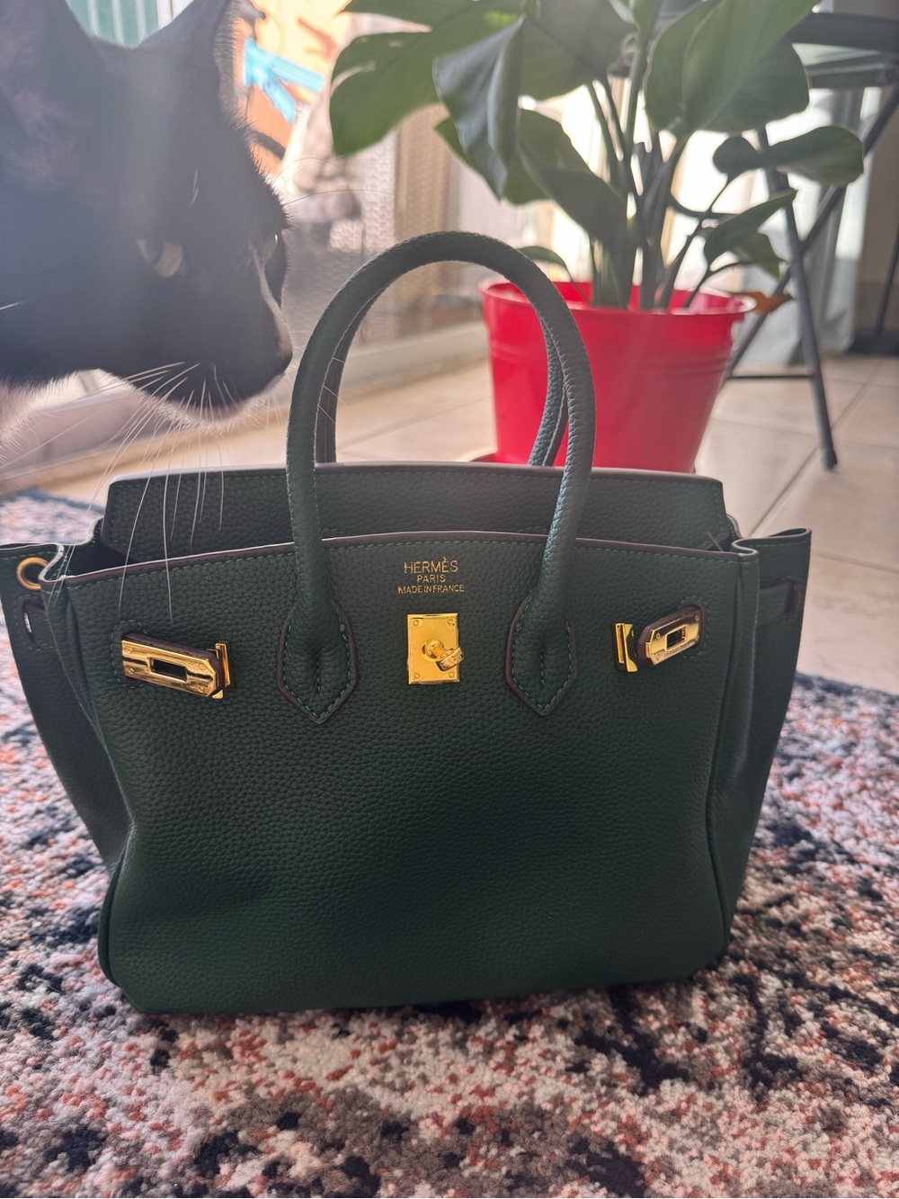 & Other Stories Dark Green Leather Top-Handle Satchel with Gold Hardware New 🆕